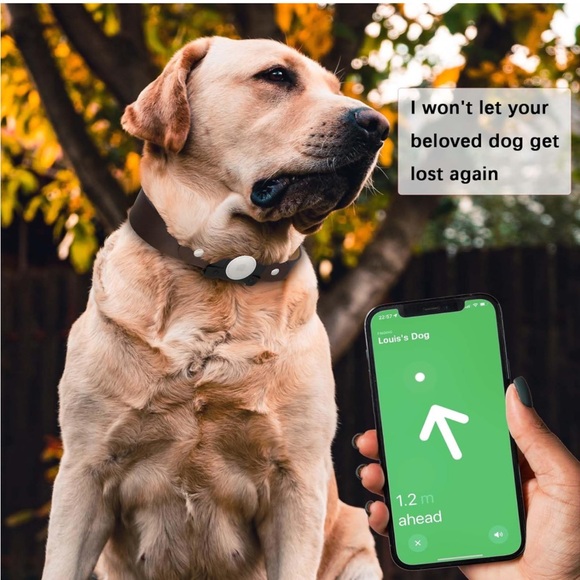 Dog Collar with Airtag Holder  (2 Pack Black & Brown, Large) - Picture 7 of 12